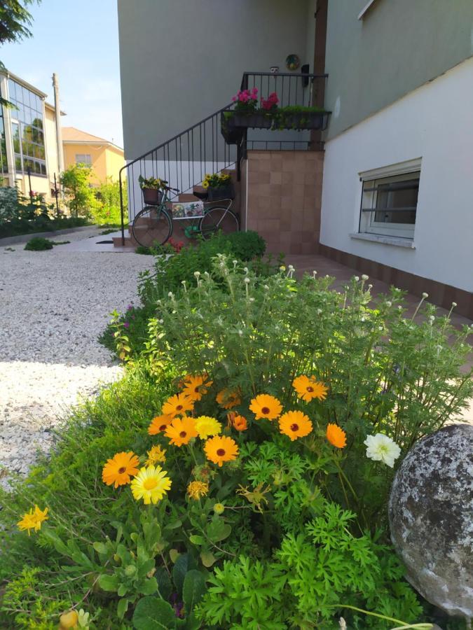 Casa Vacanze I Giardini Di Marzo San Giorgio di Mantova エクステリア 写真